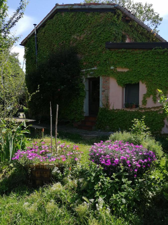 Willa Agriturismo Il Palazzo Brisighella Zewnętrze zdjęcie